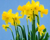 g6mmejyie1i10jzslspi54e69 222956