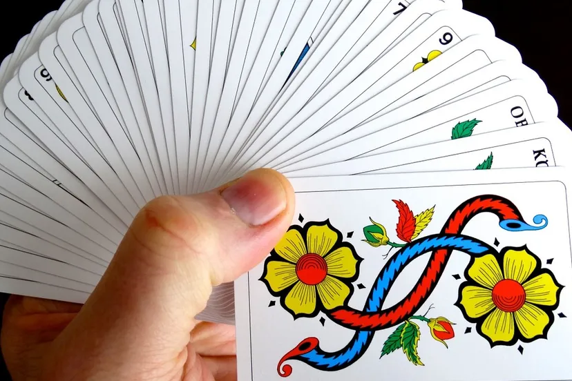 game manual 627176 1280 e1439924117218