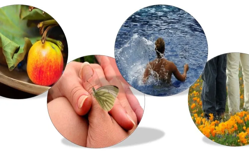 gezond aan de waal inspiratie caf