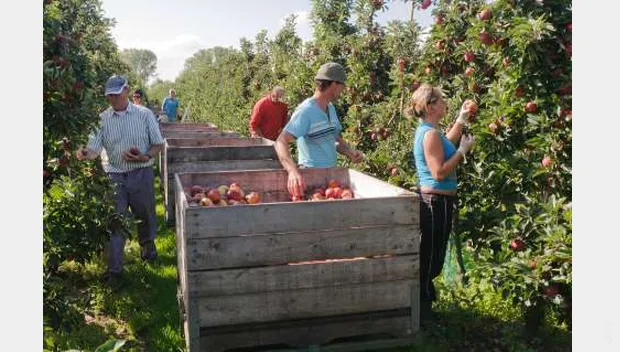 gnzoqommmoys9s39x2hwz8z48 appelplukdag