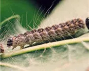 goo8lyckt3j05sifon9bu43ht 18726