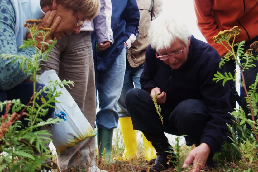 gpap6n2tza6foa67ggvt4o9e8 kokenwildeplanten