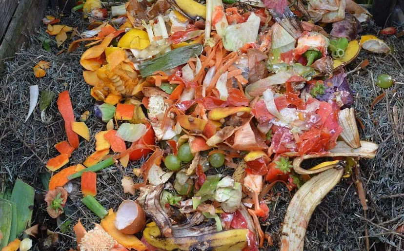 green waste 513609 1280 e1434377363213