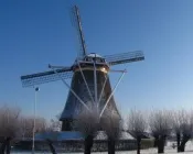 gxypld1hs8k68ucy5n3s8jrd4 195381