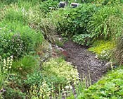 h6umuezhfrq6cc6wn6d9elwb8 14067