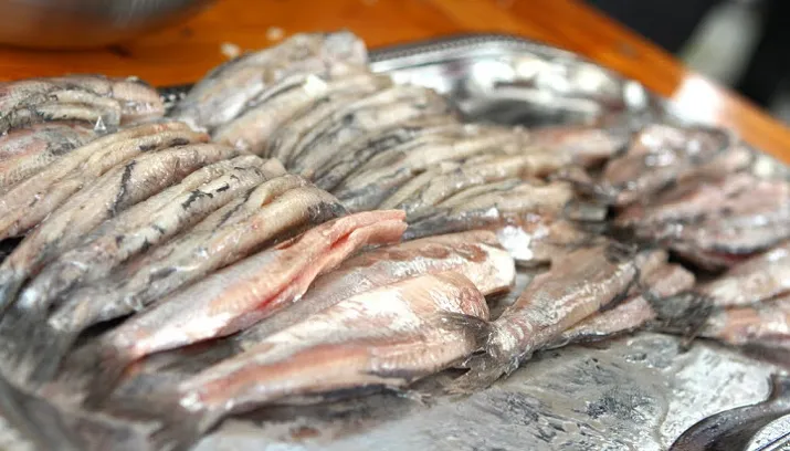 haringparty beuninge