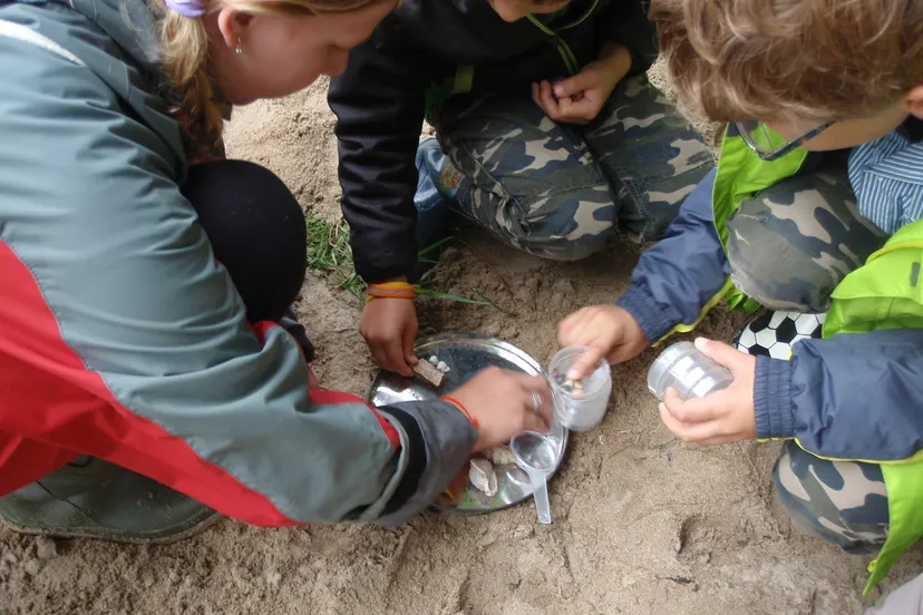 herfstschatkist vol jutvondsten