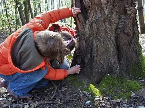 het dijkmagazijn organiseert micro safari in beuningen