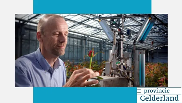 hfyzx2v13xtnvblquorypjd7o subsidie