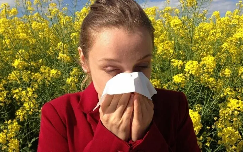 hooikoorts 915x518 1