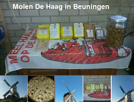 i429jnn3dphvdt1hm4eak5mjm molend de haag