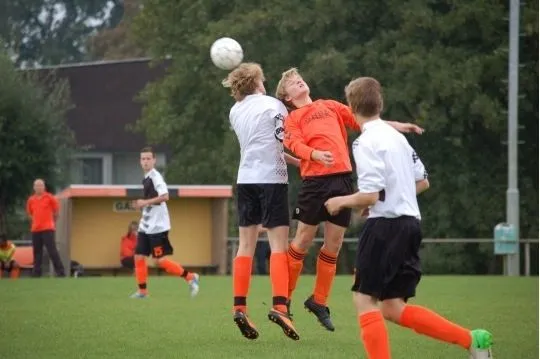 ij17lffatf88rzgasnm42e5pq afbeelding 9 9