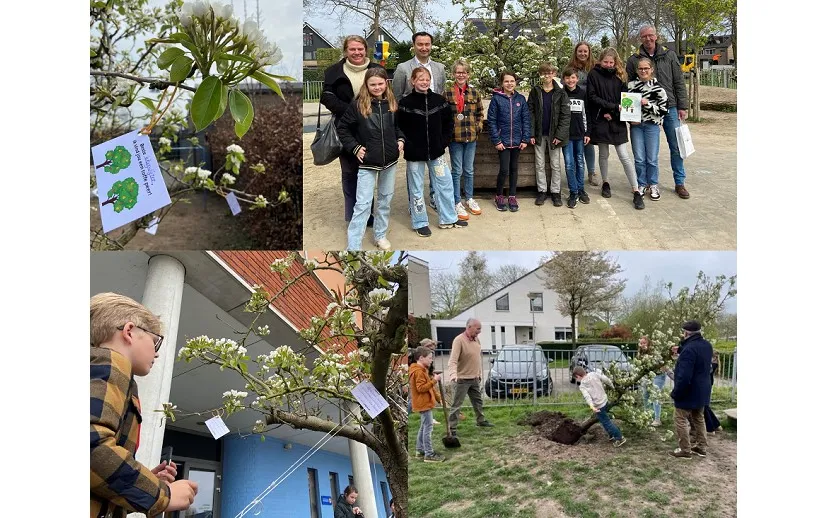 ik vind jou een toffe peer