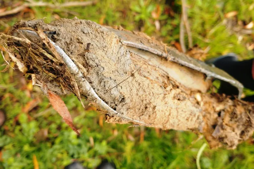 img 20221107 1324075082