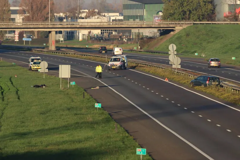 img 20221113 110644 994