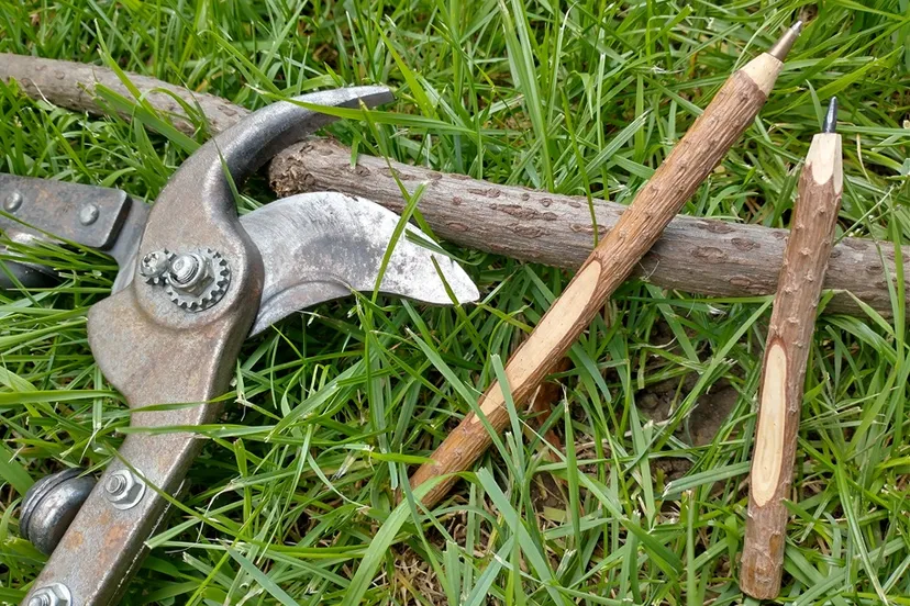 img 20230829 153653077 hdr