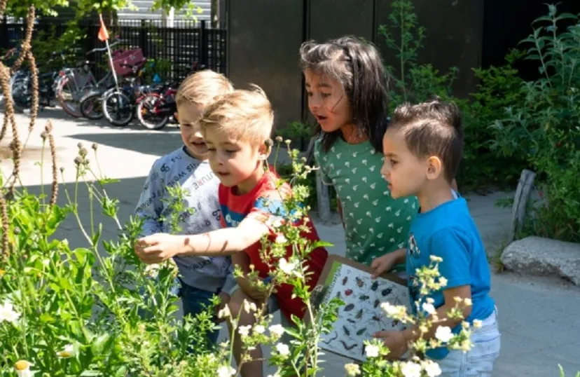 insectenhotels maken bij het dijkmagazijn
