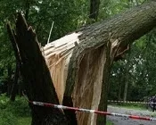 j2w4d4j77zcfdaotkaib252oo 30142