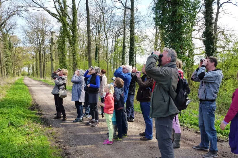 j4i8yvzwh9fbdartufqx1v5hb fotodijkm2014 04 27vroegevogels