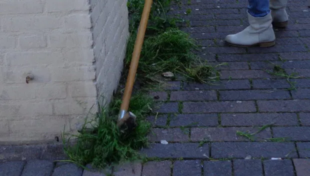 j8xcjo82zkqcztf25ho39jbqr onkruid