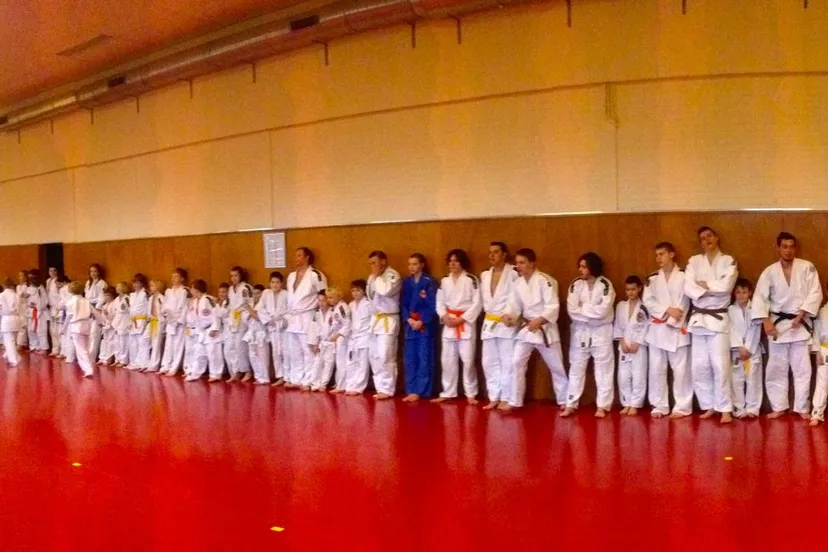 j9ju2rota4ahdegf6p0sgngti afbeelding 9 13