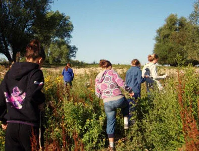 jb047ezcxcu3bovy0gdw1q6q0 81130