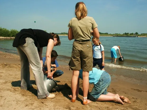 jb8w0edp5xzvntr2xjda3jdx9 fotodijkm2014 03 27wervenschoolgidsenvj2014