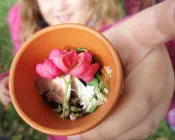 jshn6uulnop3cesg3xmhrjjjm 184994