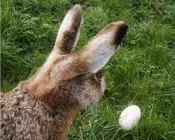 jupn9696kay6nczphn4n51wb2 129221