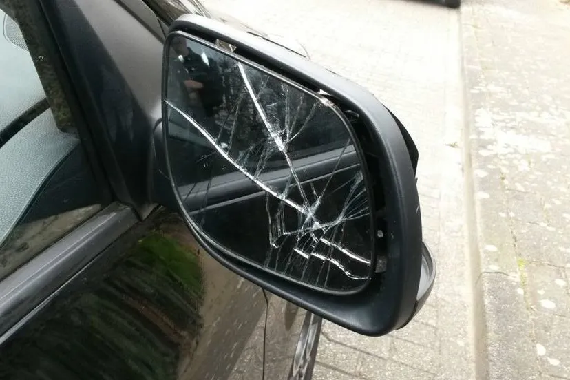 kapottespiegelrietdekker e1459624150342