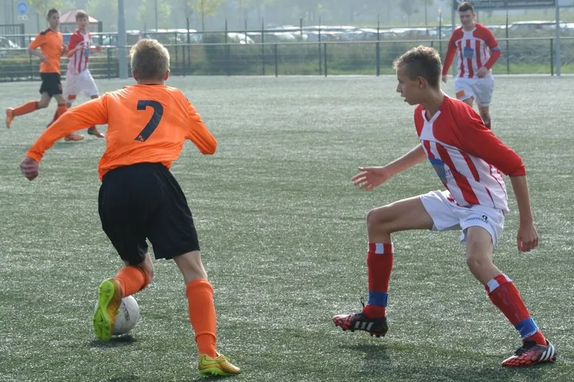 kdx1gotv3s1rnmpwipd2coao6 afbeelding 5 2