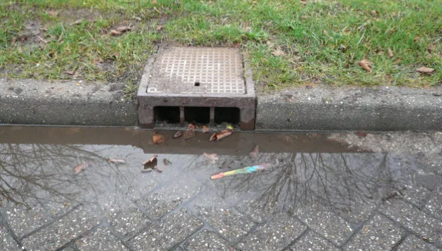 kdy6g6mkuj52jmd28bvmj5ap2 kolk