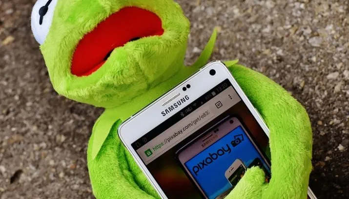 kermit ice alexas fotos pixabay 715x408