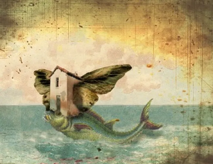 kindercollege dromen zijn geen bedrog