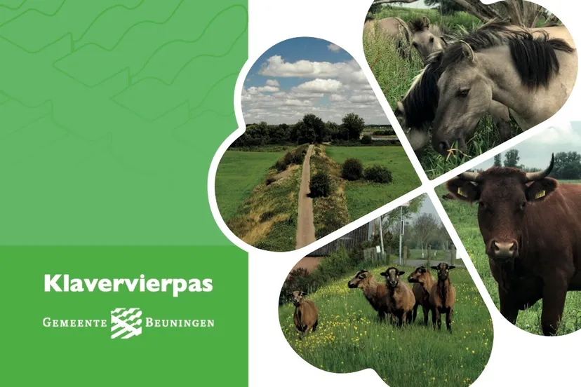 klavervierpas