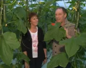 klm4ol8qii8upa0hstw1smczi 215918