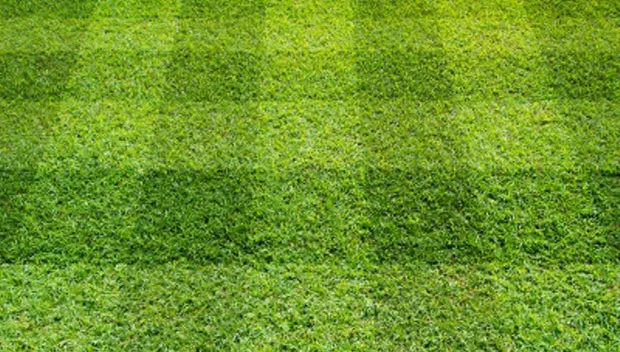 kua442jxk1xo2xx15fe5kv6rv id 10022359nuttakitfreedigitalphotos net 620