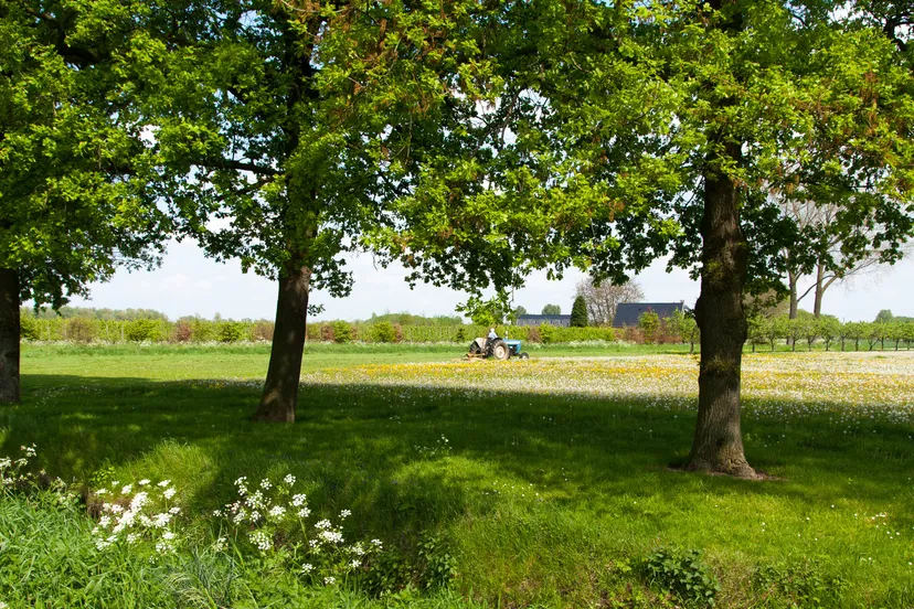 landschap e1433444749238