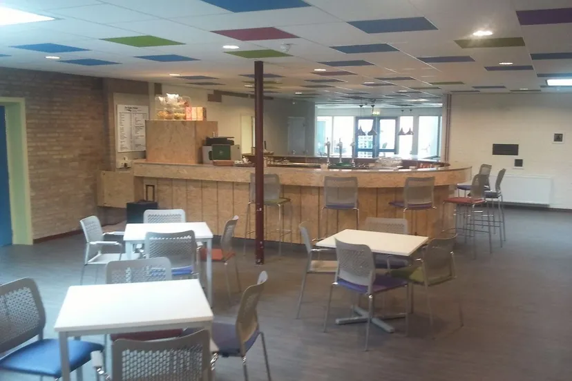 leghepolderbarenzitjes