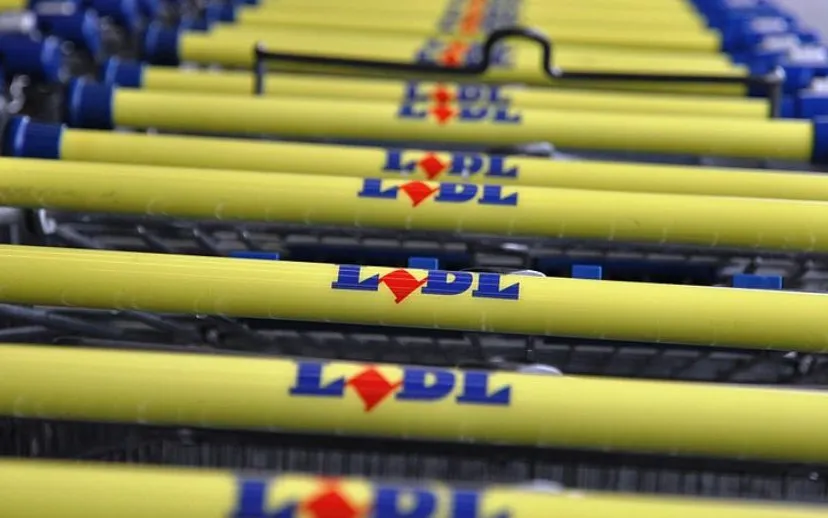 lidl onderwijsgek wikimedia 915x518