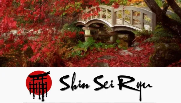 lj8emgd4virvtpwzlln10gmj7 shin sei ryu