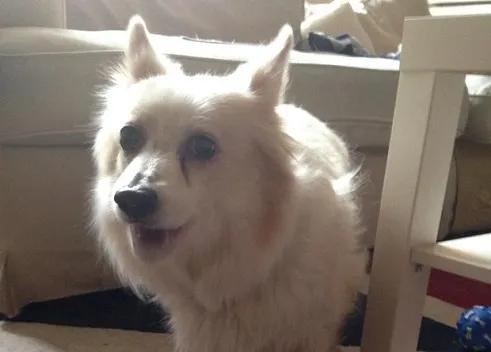 lvoukh8pz6elev46kkjywsxma sterre terug 352