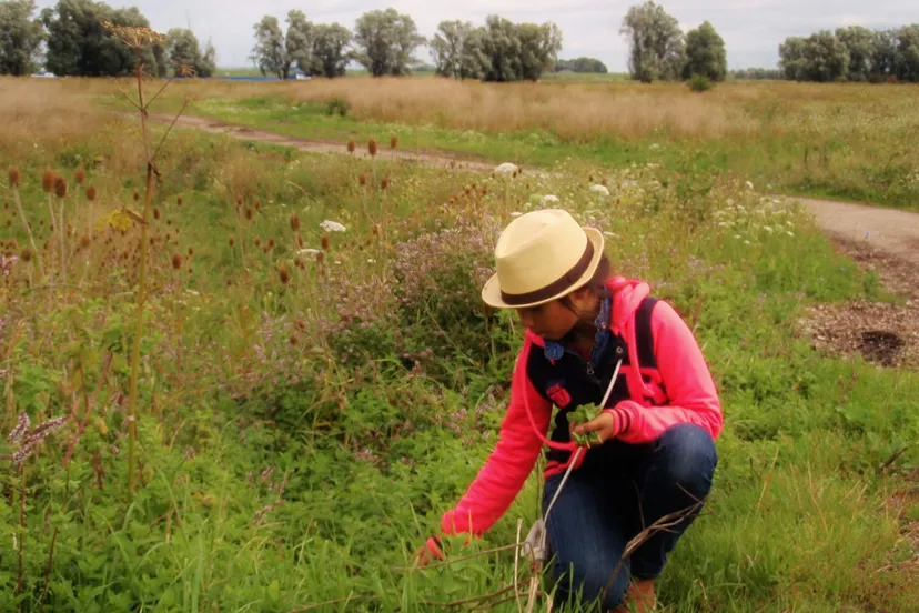 m4l93kpicdyljc7smhl9qm3u4 fotodijkmagazijn2014 09 13 14monumentendag 2