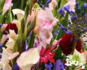 m5rmdtnxpwmelacl07odxl22o 128798