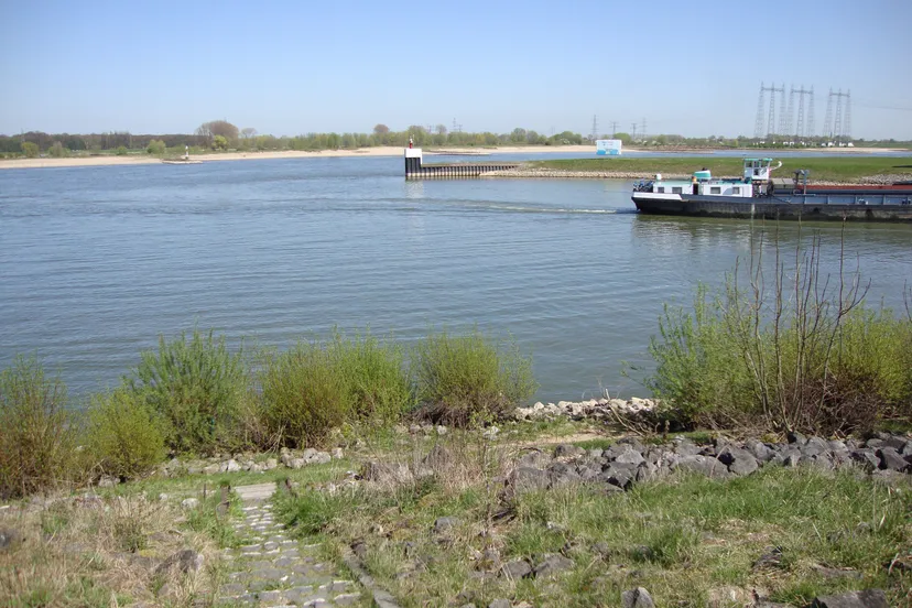 maas waalkanaal universiteit van beuningen