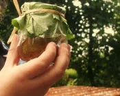 mcnm0mb7duq3e93gddy60d62t 228892