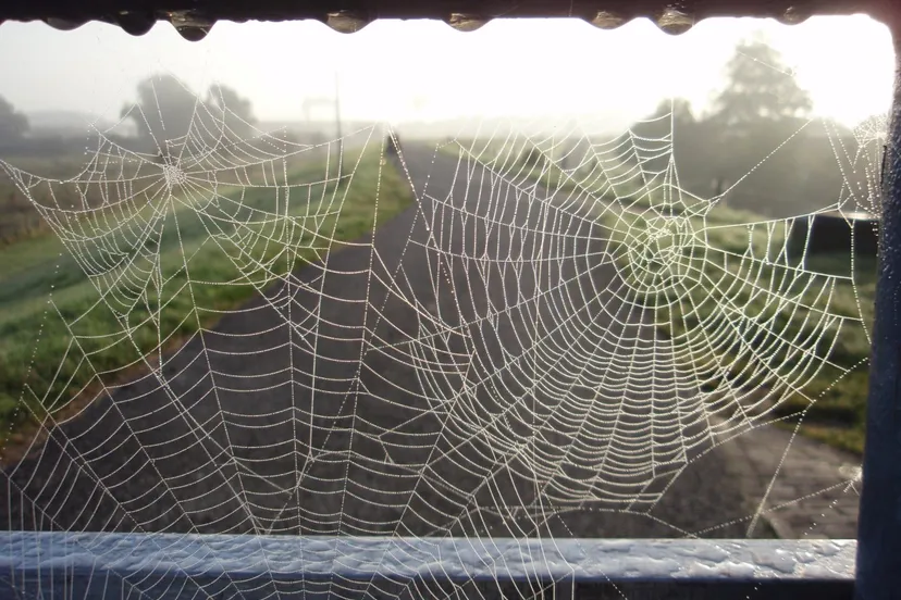 mjotdwv8wu1gn45oso8w7xynq fotodijkmagazijn2014 11 26winterspinnen