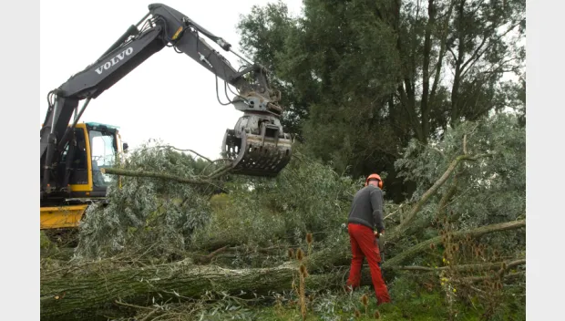 mllwykoi2th2peunb8ns58acq stroomlijn