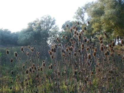 mqp9j59ig7ngxn0cie58espzq 9616