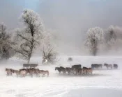 n5qx7e1ee5lpa76m3mm2i9do3 124347